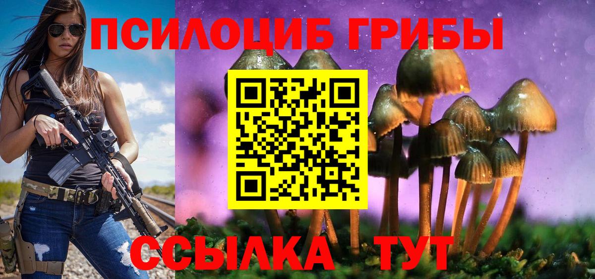Псилоцибиновые грибы прущие грибы Ефремов