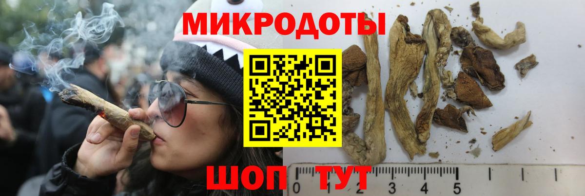 Галлюциногенные грибы GOLDEN TEACHER  Псилоцибиновые грибы Psilocybine cubensis  Ефремов  Вход с VPN 